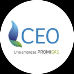 Ceo Compania Energetica de Occident