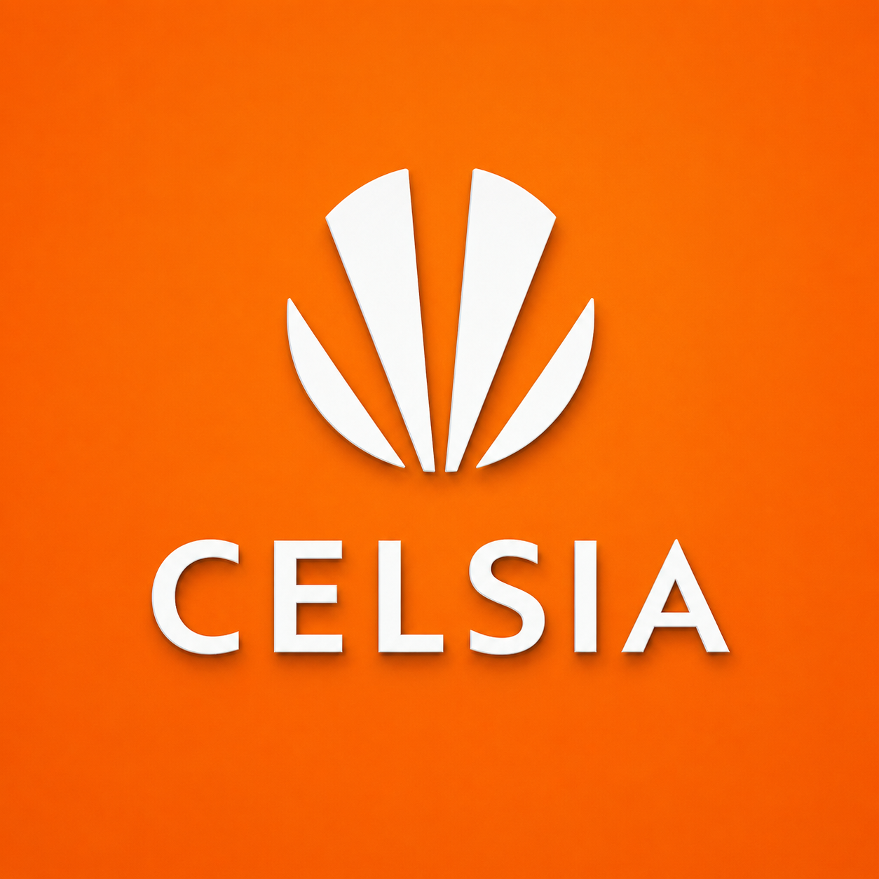 Celsia Valle